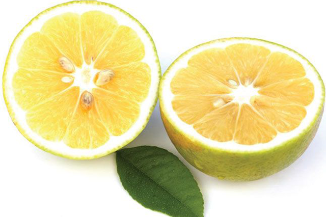 Περγαμόντο